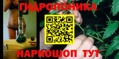 apvp Обнинск