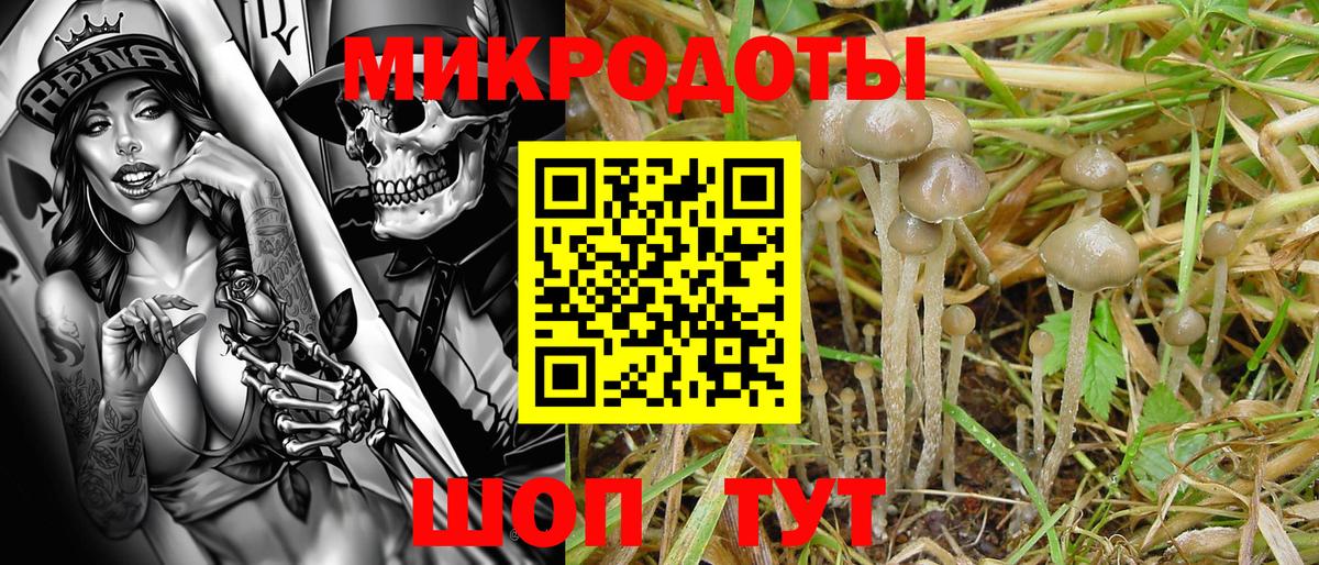 Галлюциногенные грибы Cubensis  что такое наркотик  Вход с VPN  Урай  Галлюциногенные грибы Psilocybine cubensis 